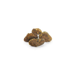 Mycotek Truffles - Mokum